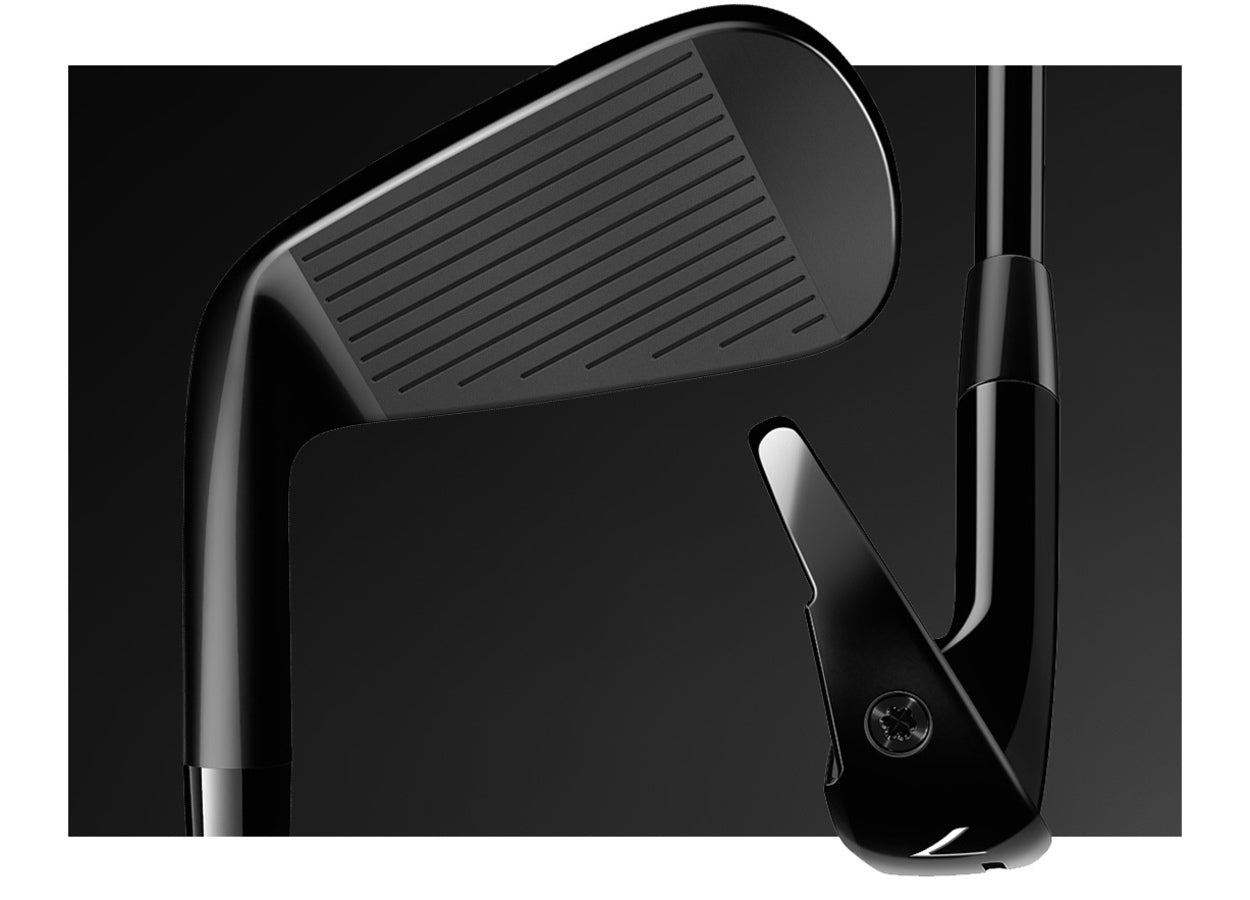 Taylormade Phantom Irons Raffle P770