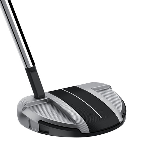 Taylormade Spider GT RollBack Silver/Black Small Slant