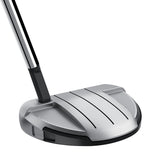 Taylormade Spider GT Rollback Silver Small Slant